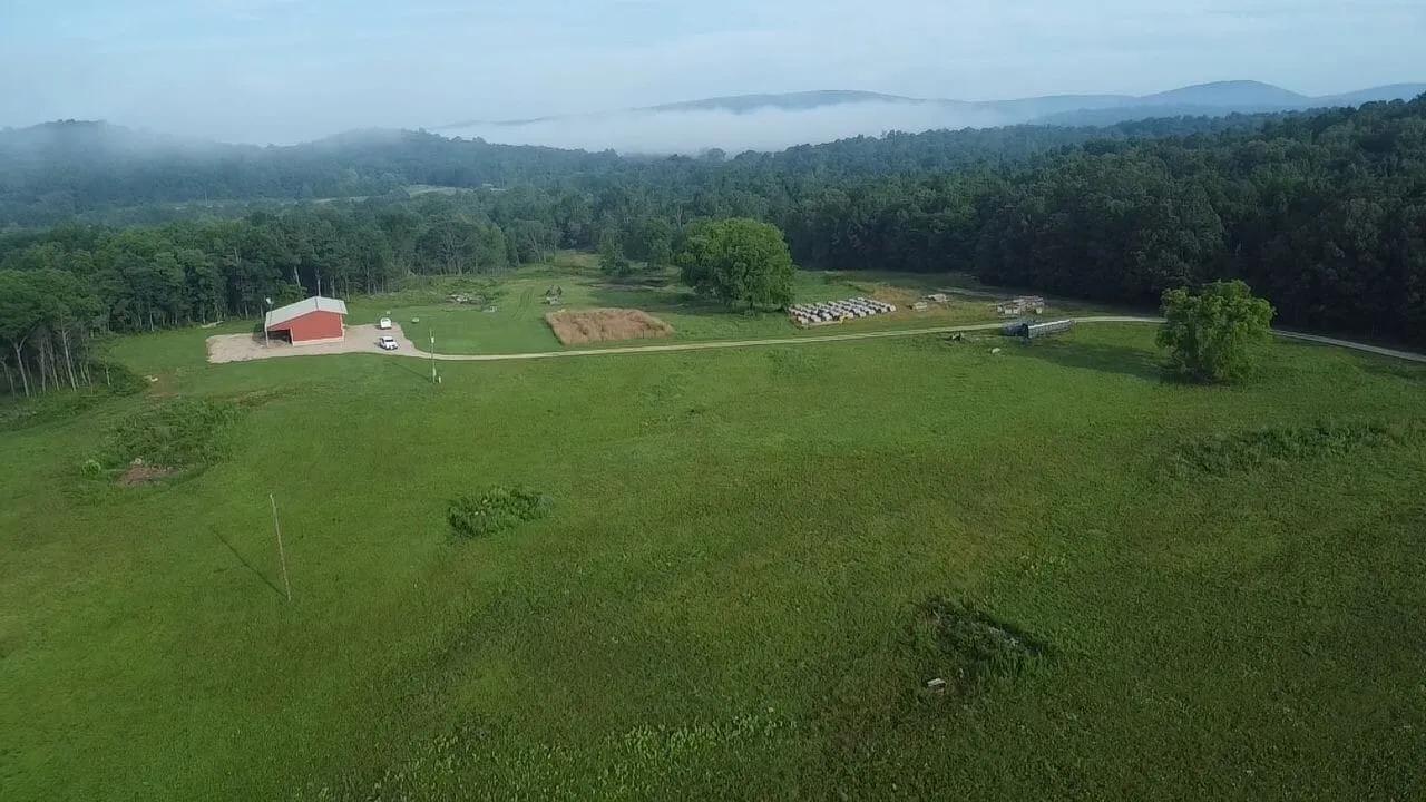 53337862-17