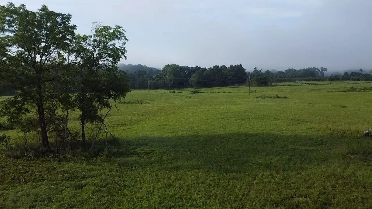 53337862-18