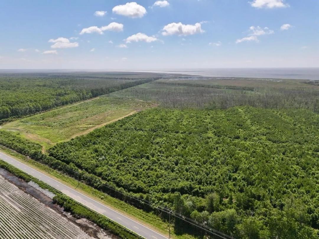 500 Acres of Premier Hunting, Waterfowl, and Timber Investment Land in Hyde County, NC!