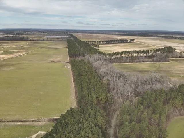5342621-15
