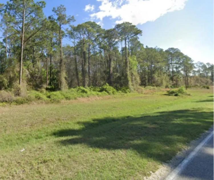 Rare large 1-Acre lot near Lake George & St John's River in Georgetown, FL