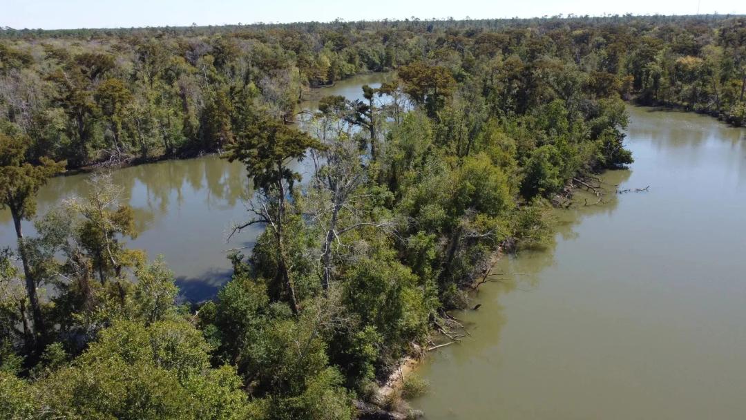 160 +/- acres Hecker, LA 70657