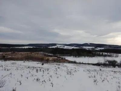 Highland Forest Heaven