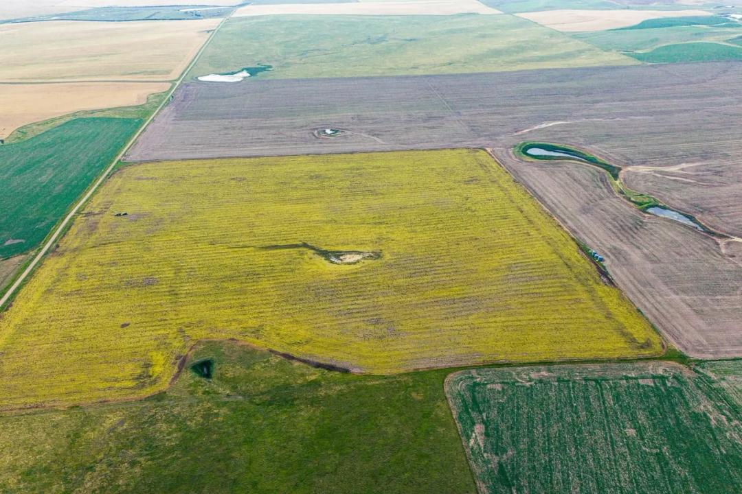 Stanley County, SD 158 Acres