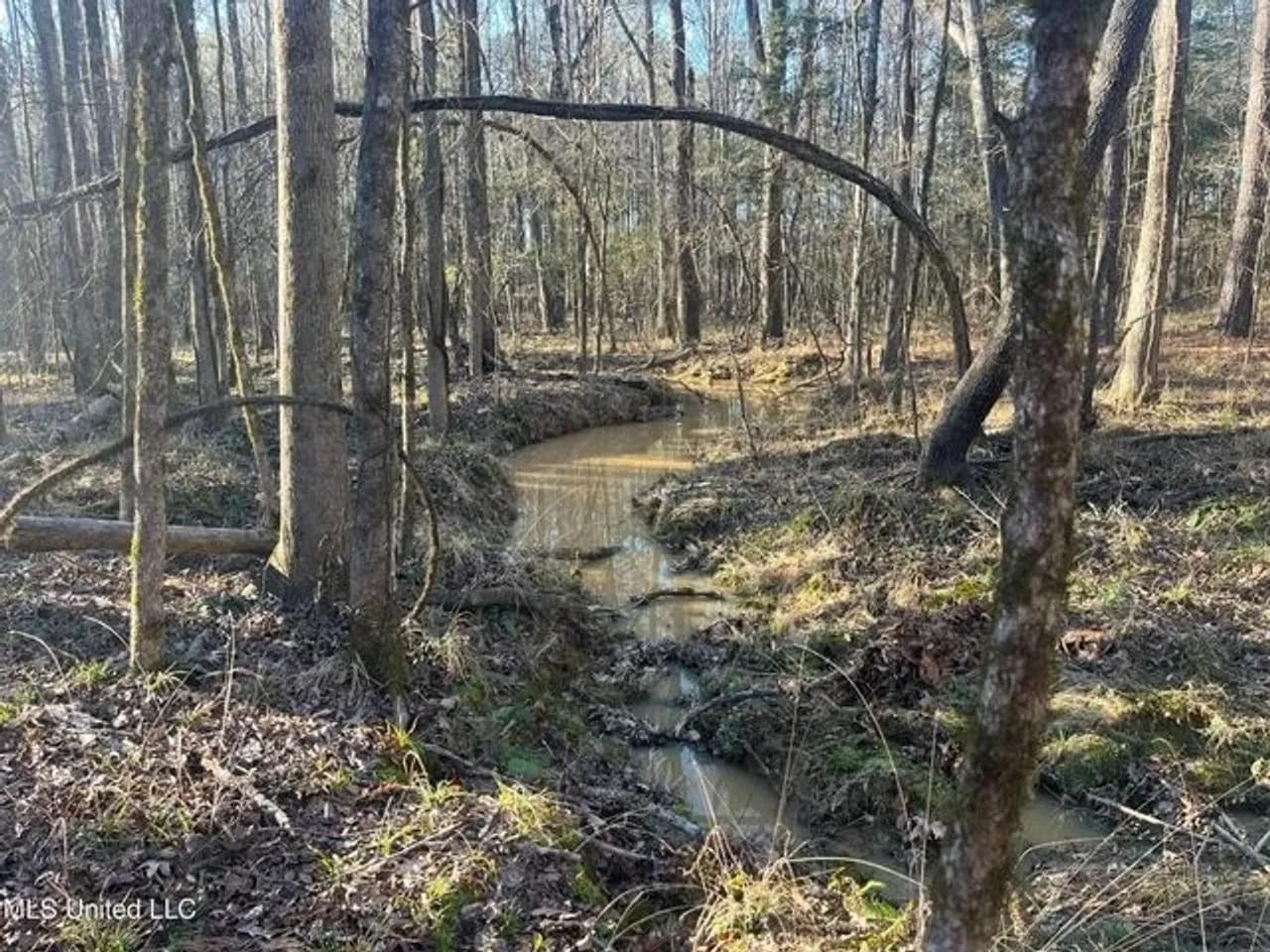 53458711-18