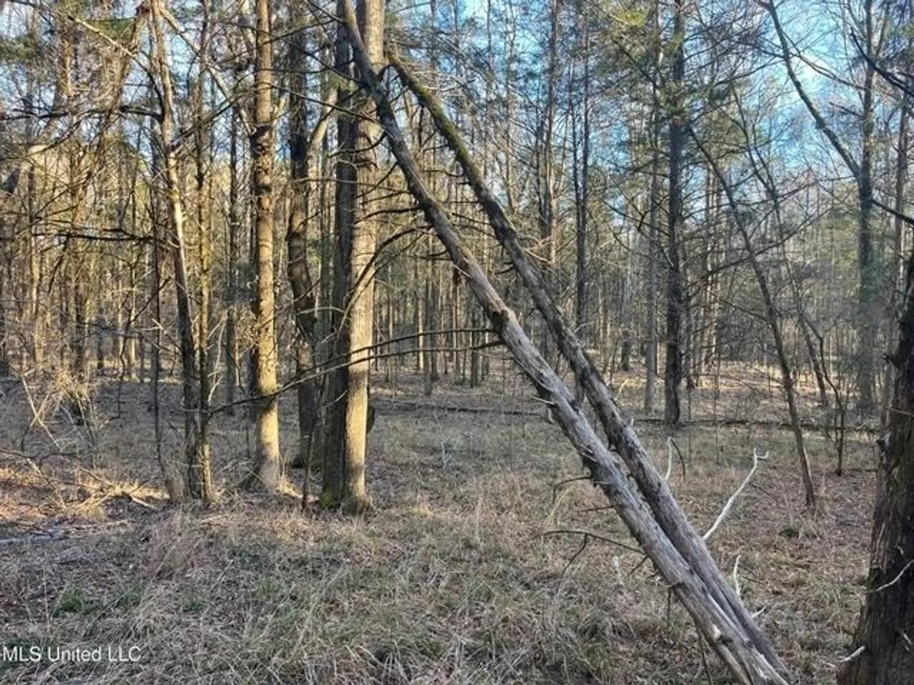 53458711-9