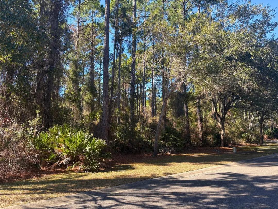 Gamefish Lane