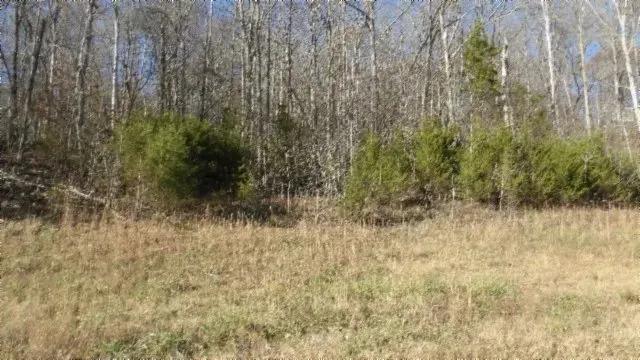 Cheyenne Drive Lot 46