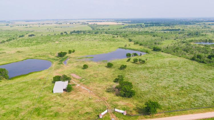 50 Acres in Milam COunty