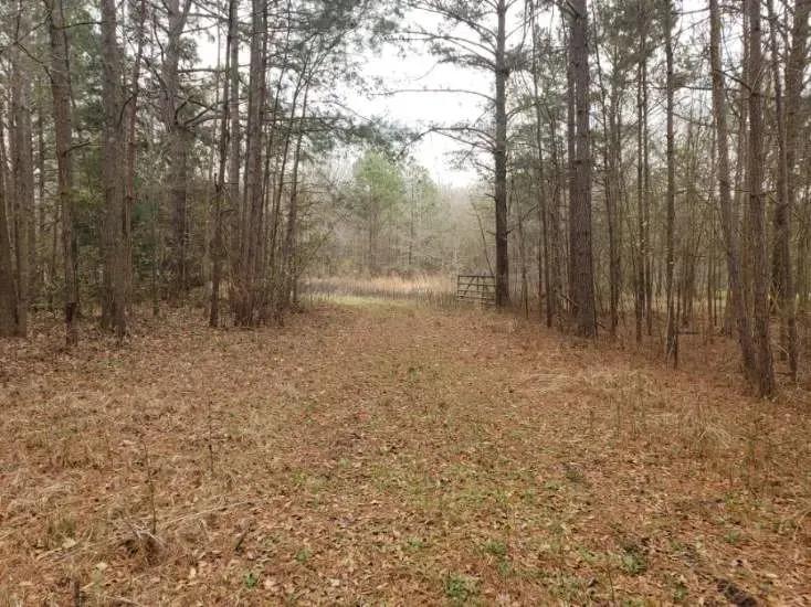 928 Vickery Road