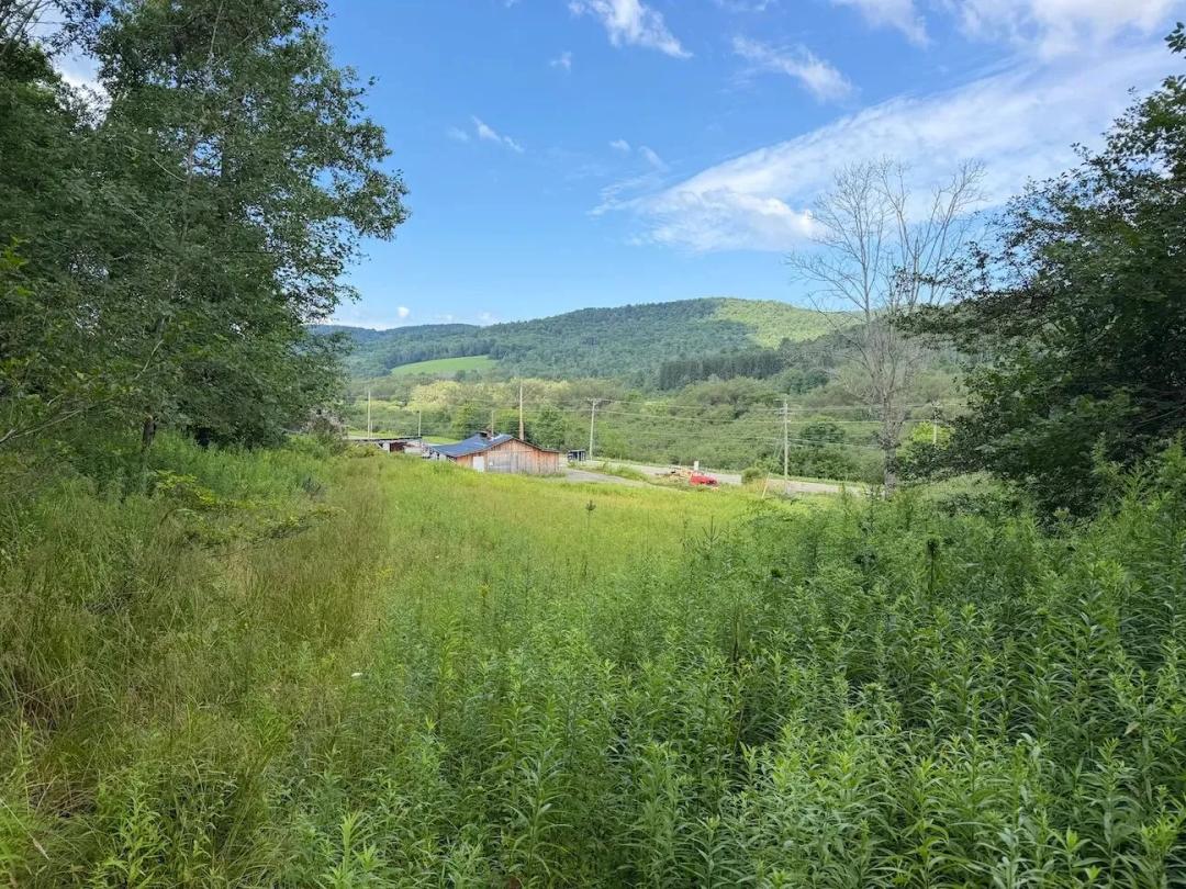 41.6 acres Hunting Land and Recreational Land in Bolivar NY Route 275