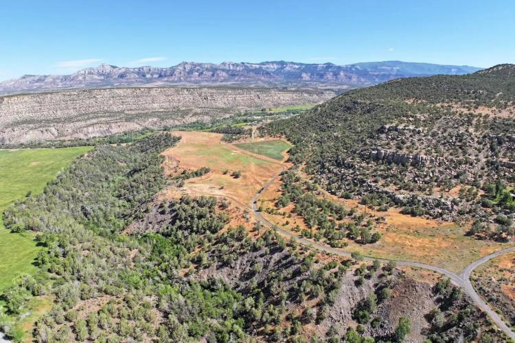 Acreage with Irrigation In Mesa, Colorado