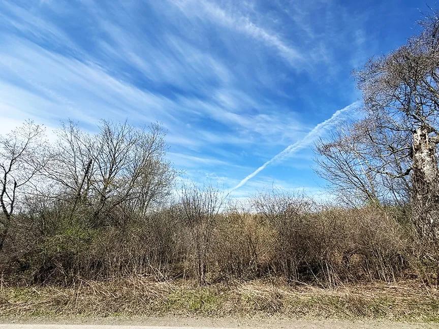 5.01 Acres at L 8.06 Thayer Rd