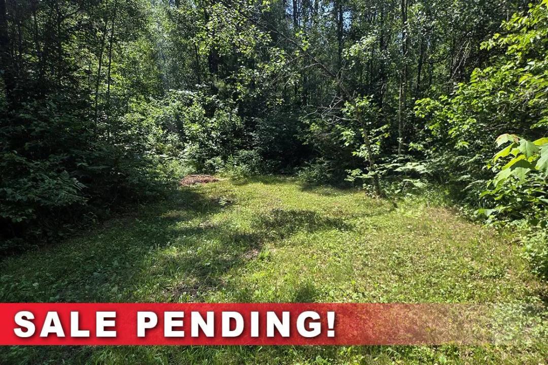  NEW RELEASE! 20 Acres Near Lake Nokomis - Secluded Northwoods