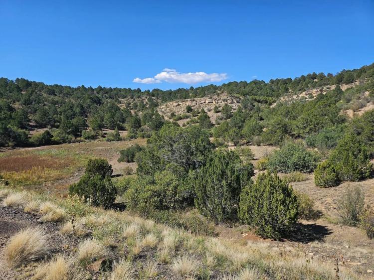 # 1 San Juan Mesa Ranch