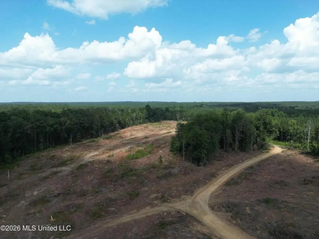 35 Acres of Clear-Cut Land in Lincoln County