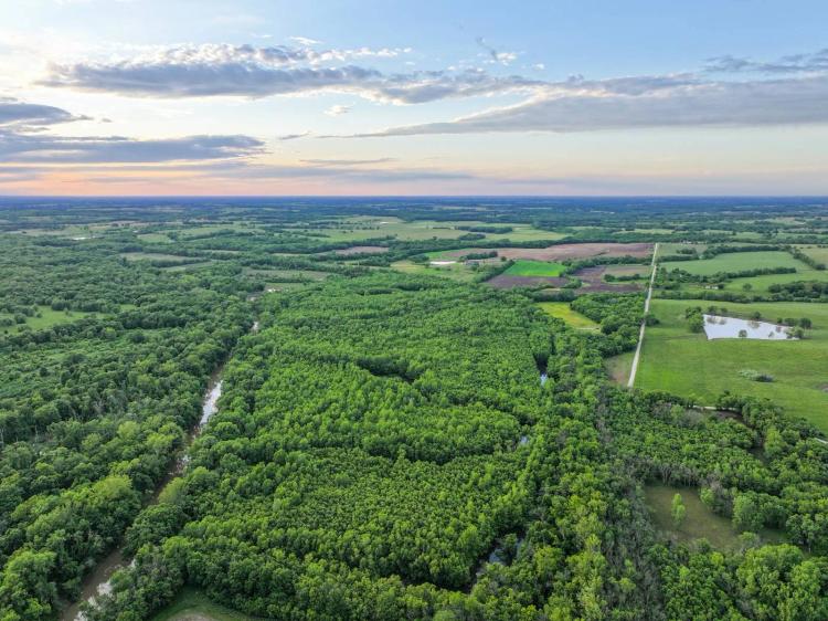 Premier Floodable Timber Along Big Creek