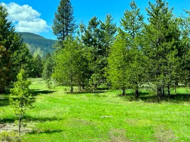 Views, Meadows and Trees!