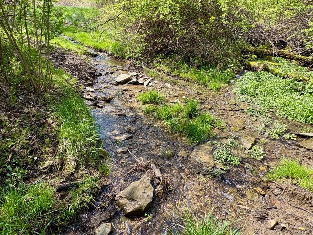 4th St., Washington County - 67± Acres