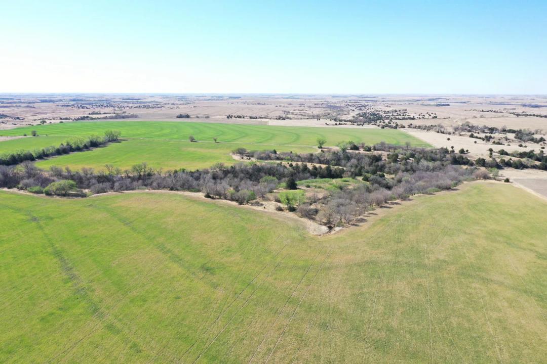 158 Acres, Frontier County Dryland, Grass, and Wildlife