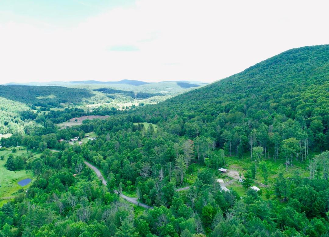 A Grand Northern Catskills Opportunity