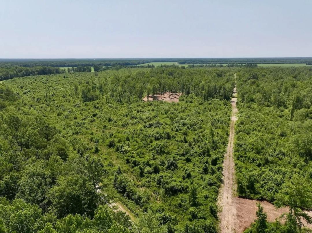 34.85 acres of Versatile Hunting Land For Sale in Craven County NC!