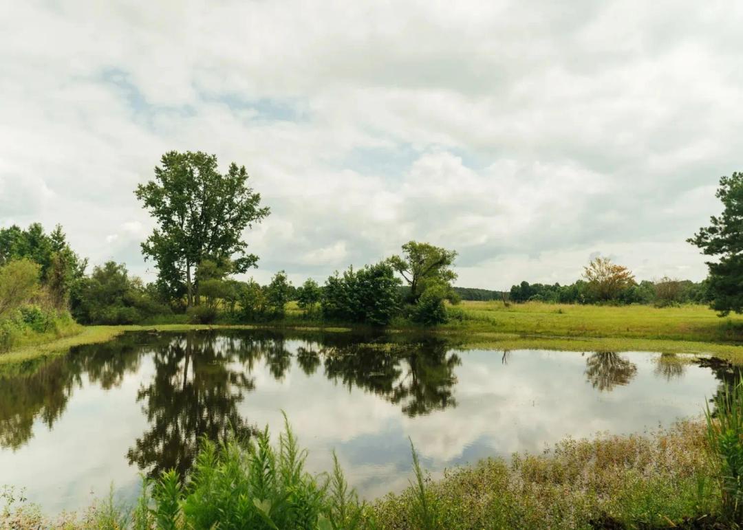 110 Acres in Winston County, MS 