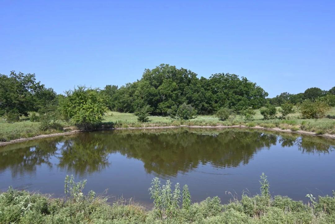 Goose Creek 92 