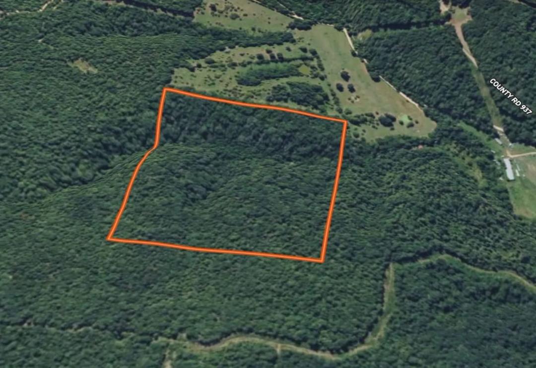 Hwy 412 40 acres