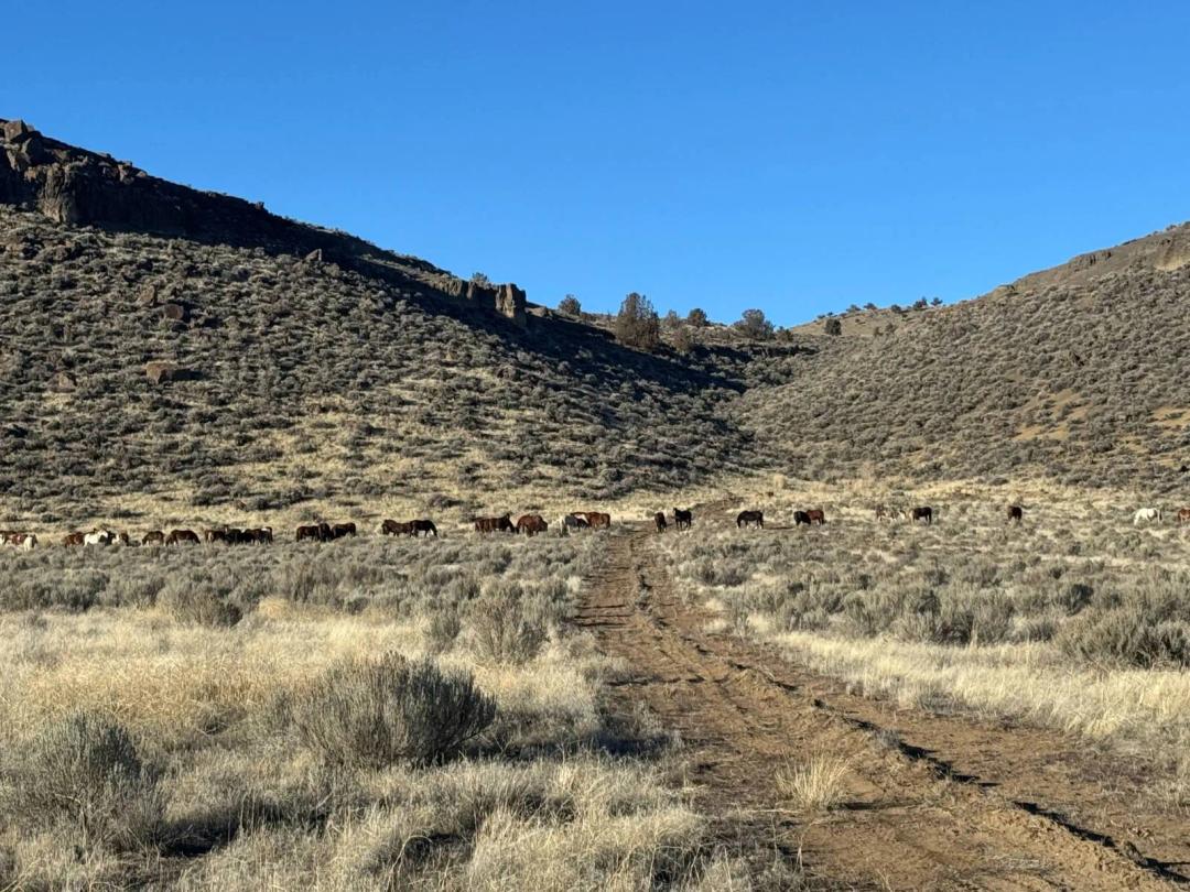 Eastern Oregon Dog Mountain Butte Acreage