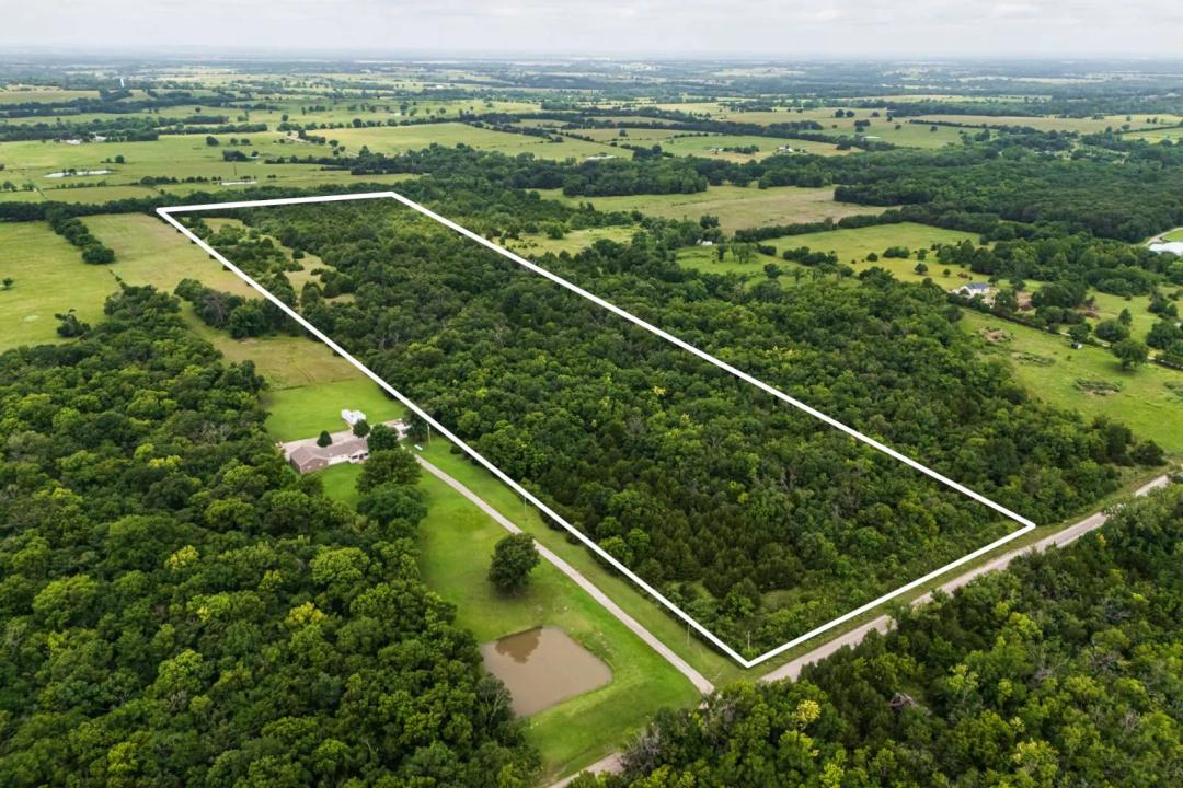 Wooded 27.79 +/- Acre Build Site &amp; Recreational Retreat