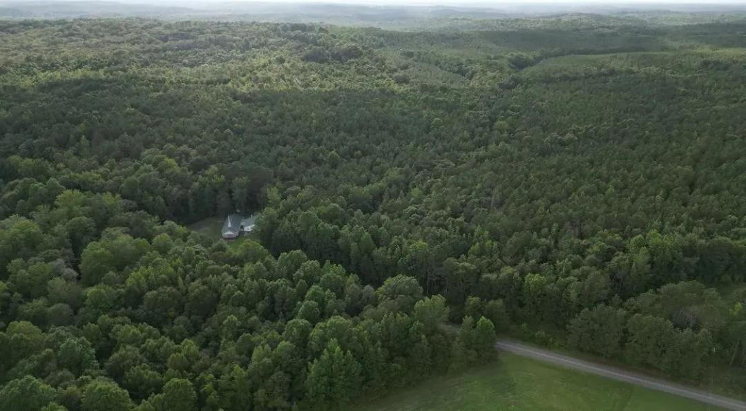 117.7 Acres in Franklin County in Vina, AL
