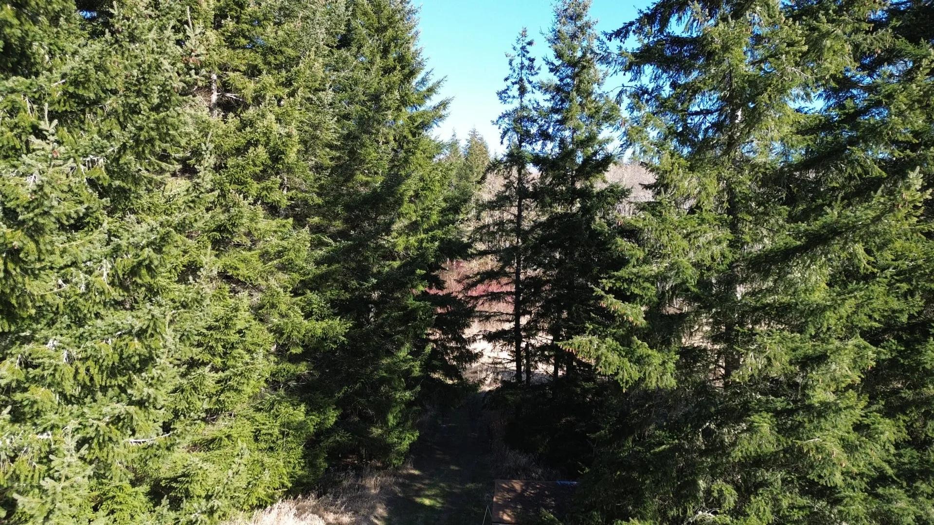 53783285-18