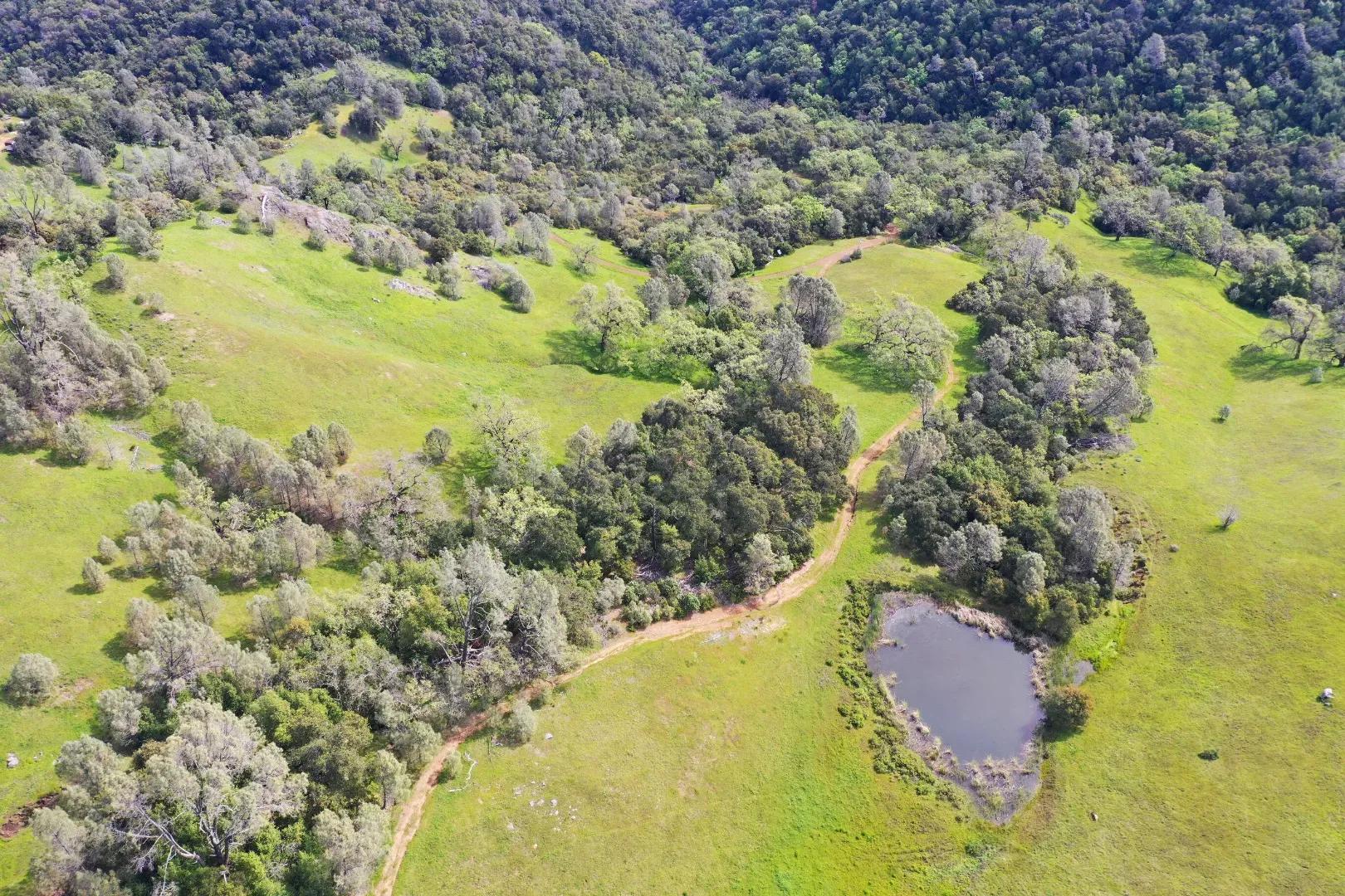 lower pond aerial 1