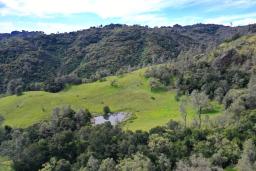 lower pond aerial 3