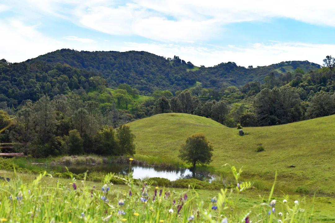 Cypress Mountain Road, Templeton