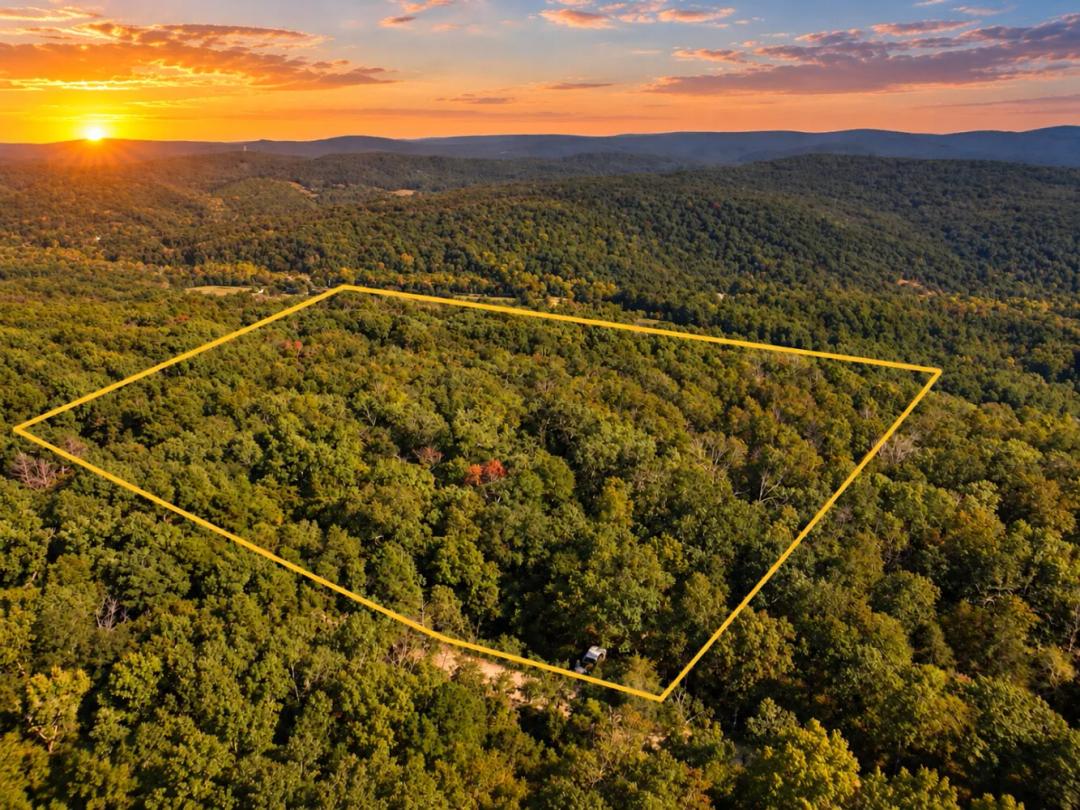 39.00 Acres at 00 Forest Road 2539