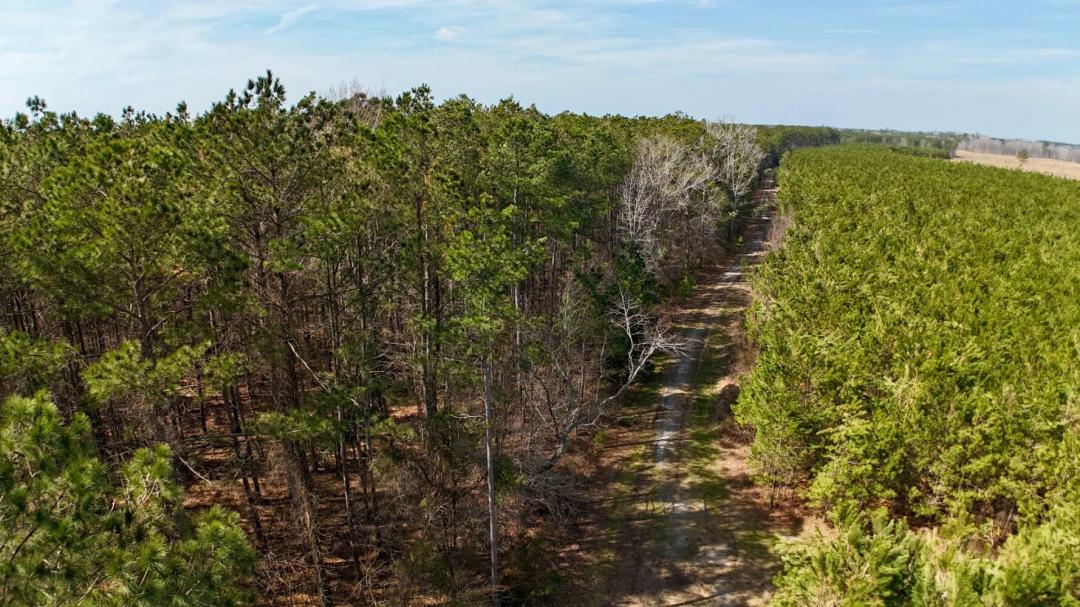 84.00 Acres at 0 Bluefoot Road