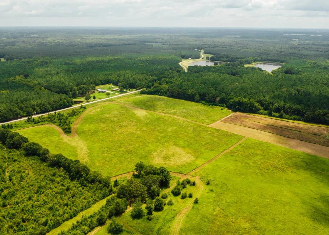214± Acres of Pasture, Timber &amp; Wetlands in Winston County