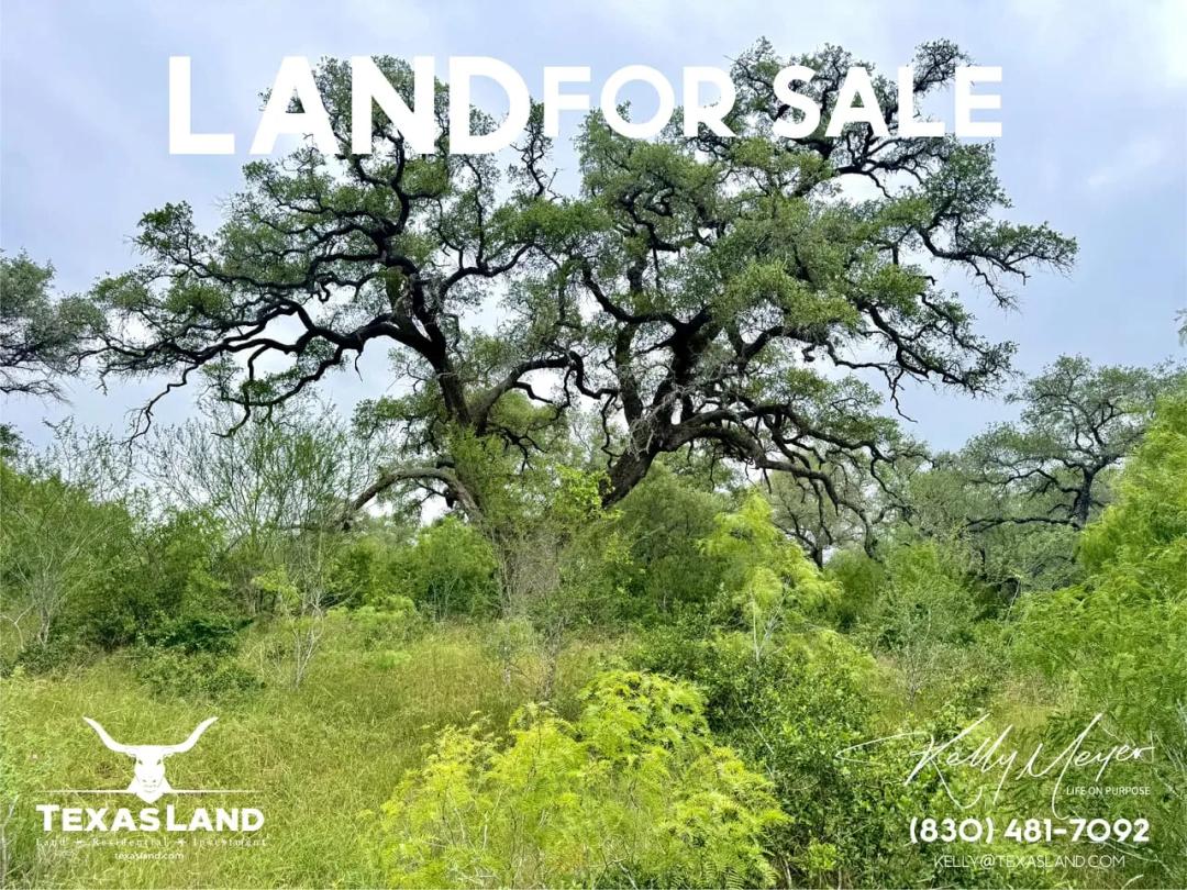 10 Acres SE of Seguin