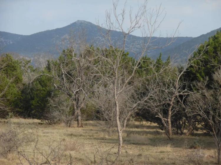 Nueces River Access - 2.61 Acres + Utilities Available
