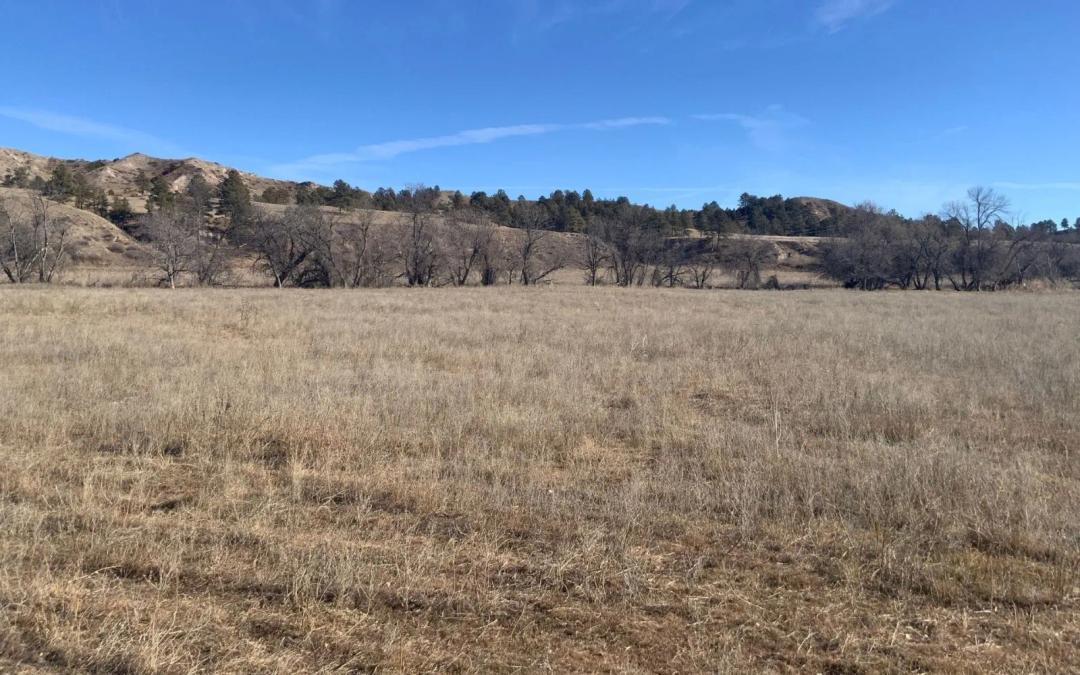 200 Acre setting with live water and excellent Hwy access