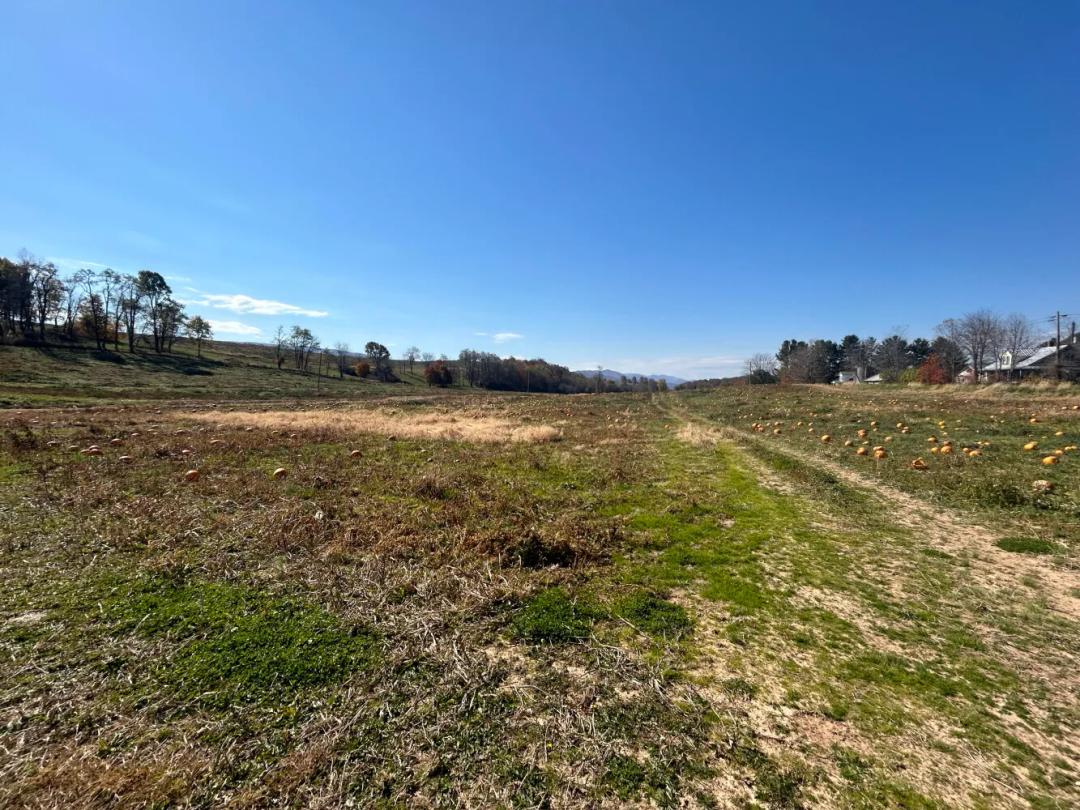 29.42 Acres at 0 Cedar Springs Rd, Tract A