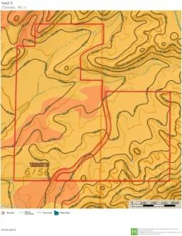 53917614-26