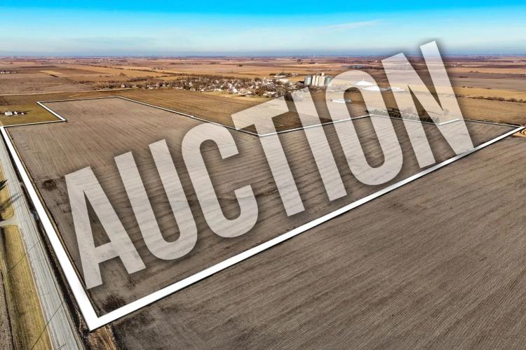 Guthrie County 80 +/- Acres (Tract 8)