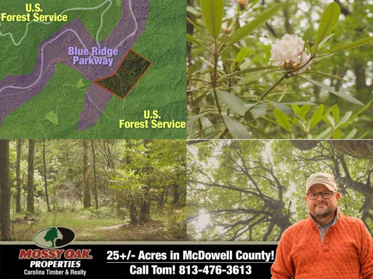 25+/- Acres 100% SURROUNDED by USFS & Blue Ridge Parkway!