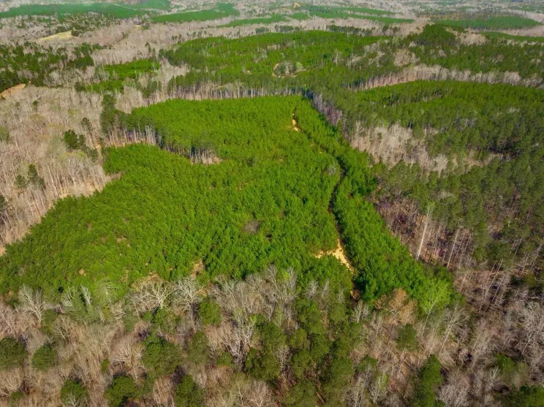 Ridgeview West Tract