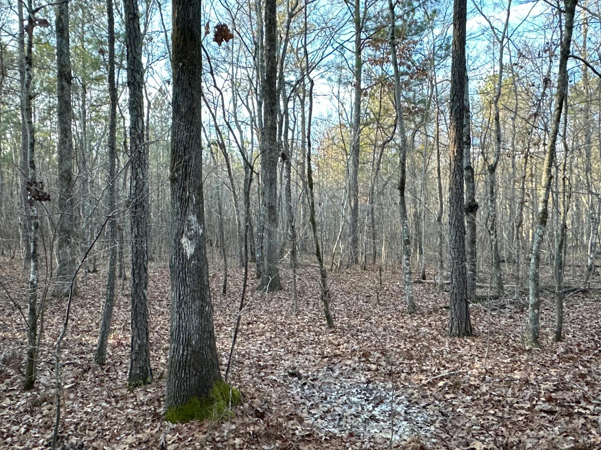 53974049-19