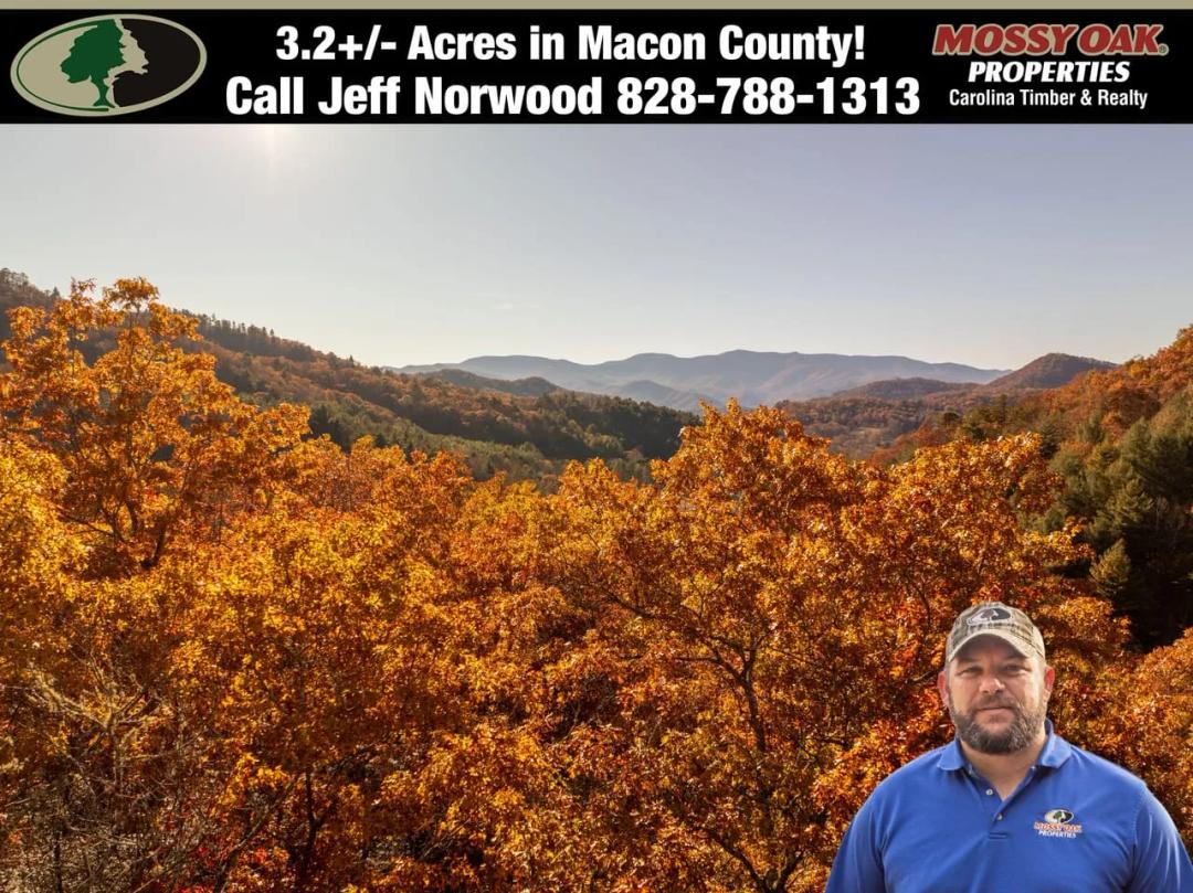TWO Awesome Lots in Franklin, NC!