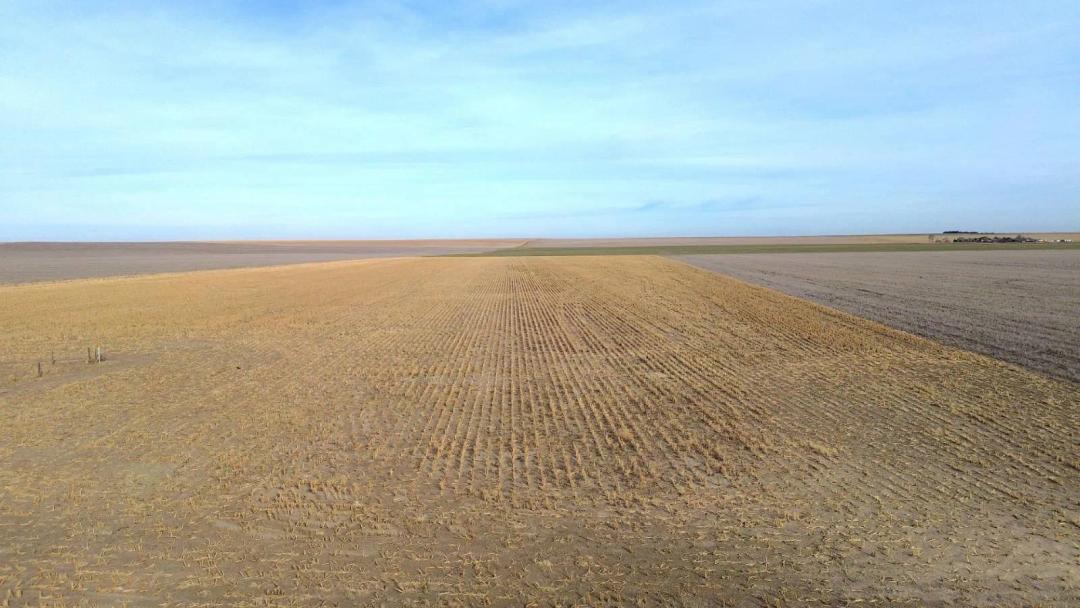 160± Acres Cropland &amp; Grass - Cheyenne County, Kansas